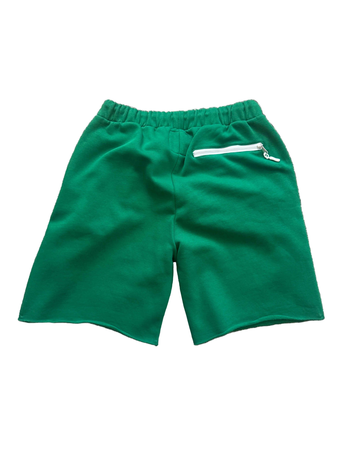 Distress Shorts